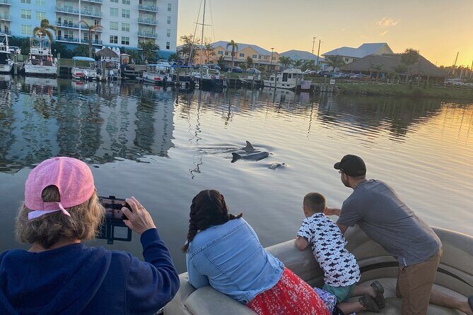 Dolphin/Manatee Pontoon Boat Tour with Local Expert - An Up-Close Encounter with Florida’s Lagoon Wildlife: The Dolphin/Manatee Pontoon Boat Tour