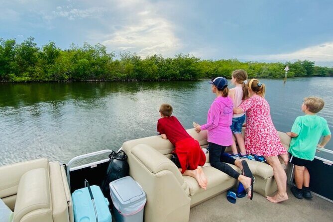 Dolphin/Manatee Pontoon Boat Tour with Local Expert - Key Points