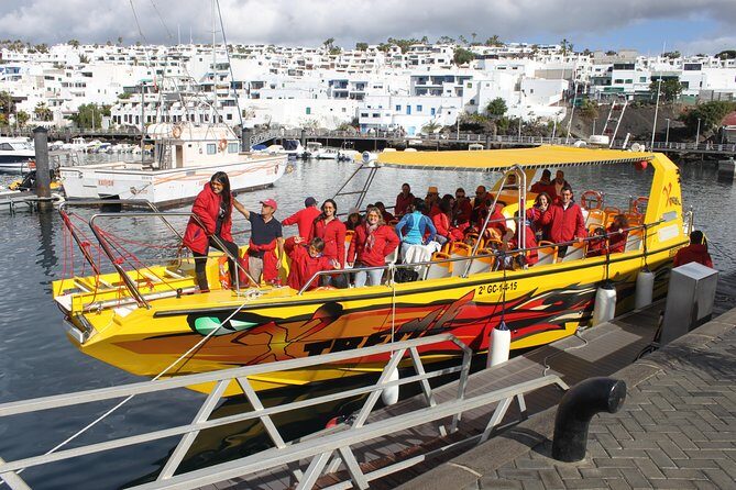 Dolphin Mini Cruise at Playa del Carmen - Dolphin Mini Cruise at Playa del Carmen: A Practical Guide for Curious Travelers