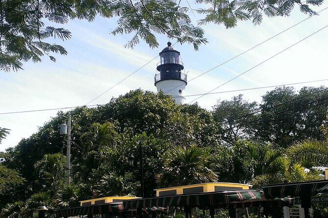 Dolphin Morning Watching & Snorkeling + open bar + 1 day Hop-On Hop-Off Fun - A Full Look at the Key West Adventure