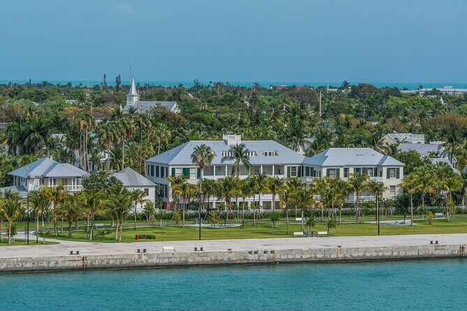 Dolphin Morning Watching & Snorkeling + open bar + 1 day Hop-On Hop-Off Fun - FAQ