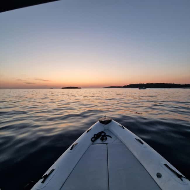 Dolphin private sunset tour Rovinj - Who Will Love This Tour?