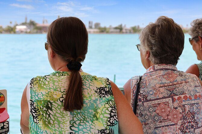 Dolphin Quest - Sightseeing/Eco Cruise, John's Pass, Madeira Beach, FL - Authentic Experiences from Reviewers