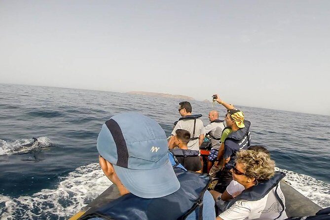 Dolphin Route - Authentic Encounters and Realistic Expectations