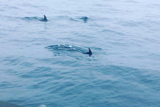 Dolphin Route - The Itinerary in Detail