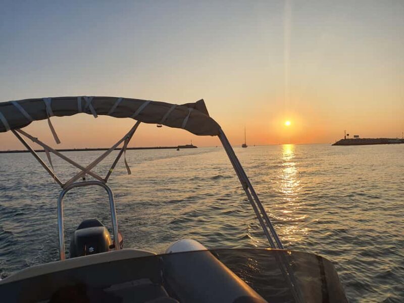 Dolphin safari every evening - Introduction: A Closer Look at the Dolphin Safari Experience in Istria