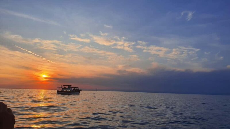 Dolphin safari every evening - Key Points