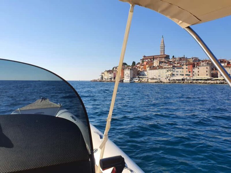 Dolphin safari every evening - The Experience in Practice: Real Traveler Insights
