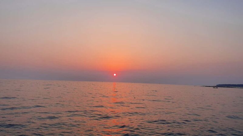 Dolphin safari every evening - Who Should Consider This Tour?
