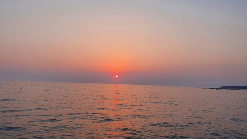 Dolphin safari every evening - The Sum Up: Is This the Right Experience for You?