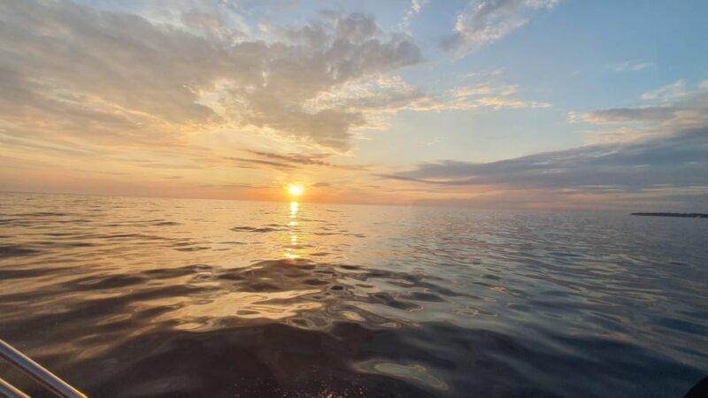 Dolphin safari every evening - FAQ