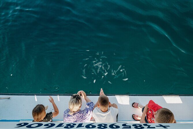 Dolphin Safari in Faana - Who Should Consider This Tour?