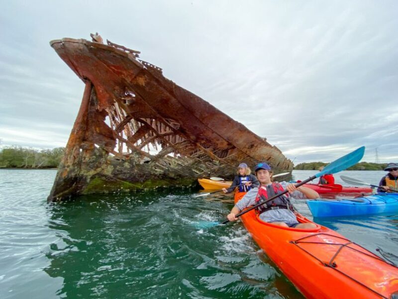 Dolphin Sanctuary and Ships Graveyard Kayak Tour - Key Points