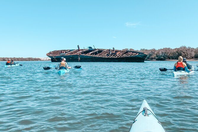 Dolphin Sanctuary Kayak Tour Adelaide - The Sum Up: Who Will Love This Tour?