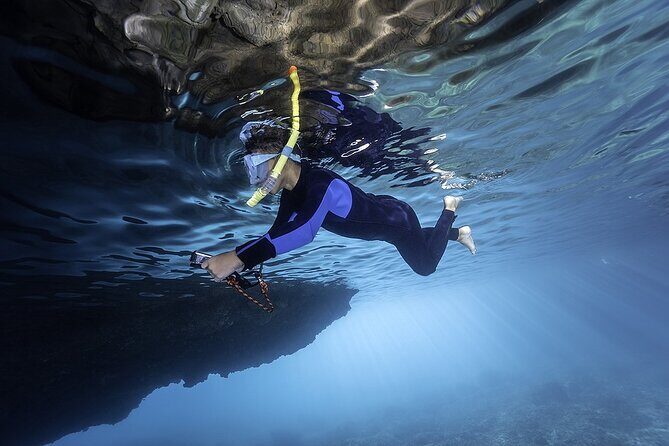 Dolphin, Sea Cave, Captain Cook, Kealakekua Bay Reef Snorkeling - The Experience in Detail