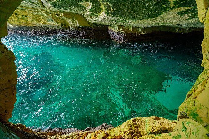 Dolphin, Sea Cave, Captain Cook, Kealakekua Bay Reef Snorkeling - Final Thoughts: Who Should Consider This Tour?