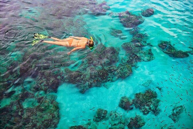 Dolphin, Sea Cave & Captain Cook Snorkel Combo in Kealakekua Bay - The Practical Side: What You Need to Know
