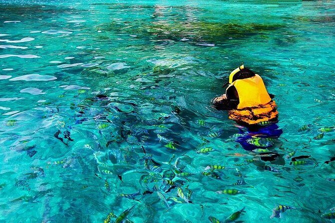 Dolphin, Sea Cave & Captain Cook Snorkel Combo in Kealakekua Bay - Frequently Asked Questions