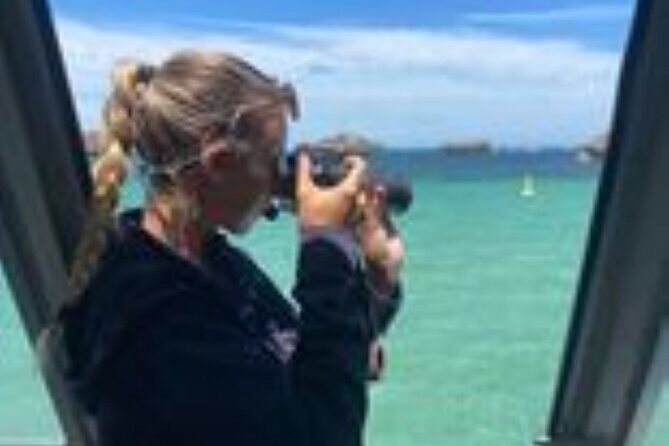 Dolphin, Sea Lion and Penguin Island Cruise - FAQ