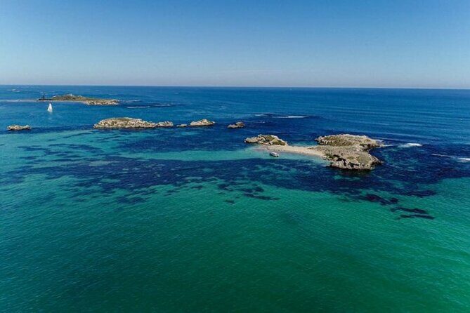 Dolphin, Sealion & Wildlife Snorkel Adventure - Discovering the Best of Perth’s Marine Wildlife