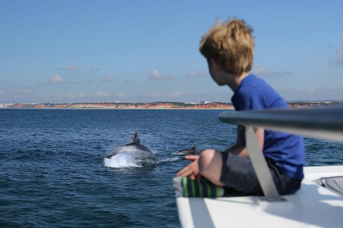 Dolphin Search - Dolphin Quest - Dolphin Search - Dolphin Quest: An Authentic Marine Adventure in Albufeira