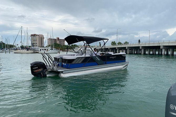Dolphin Shelling Snorkeling Cruise in Tampa - Detailed Breakdown of the Itinerary