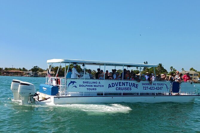 Dolphin /Shelling/Snorkeling tours Private Charters - A Detailed Look at the Tour Experience