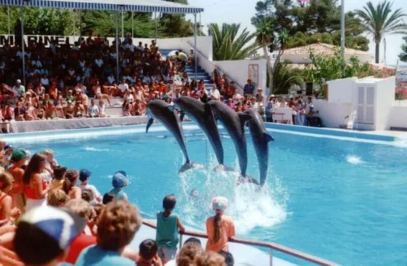 Dolphin Show Tour with Transfer from Alanya & Side - Dolphin Show Tour with Transfer from Alanya & Side