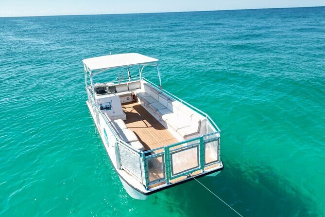 Dolphin Sightseeing and Shell Island Snorkel Tour - Dolphin Sightseeing and Shell Island Snorkel Tour: A Fun and Authentic Marine Adventure