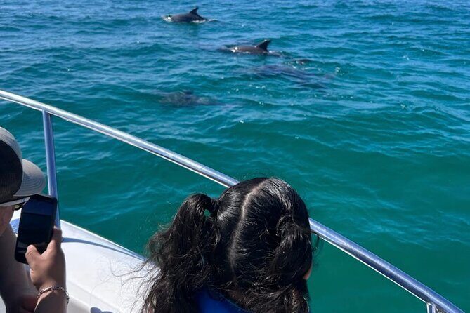 Dolphin Sightseeing and Shell Island Snorkel Tour - Why This Tour Stands Out