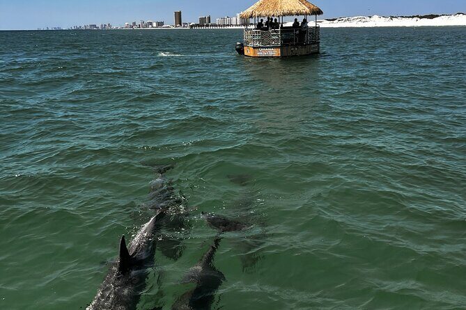 Dolphin Sightseeing Tiki Boat Tour 90 minutes - FAQs