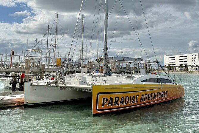 Dolphin Sightseeing Tour on Lazy Daze - A Complete Look at the Lazy Daze Dolphin Sightseeing Tour