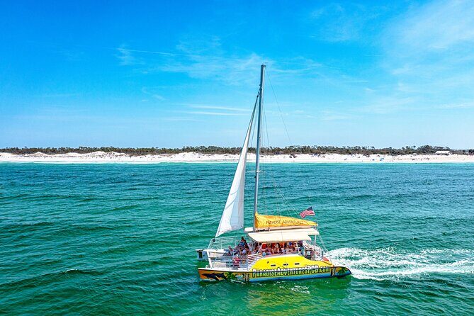 Dolphin Sightseeing Tour on The Footloose Catamaran from Panama City Beach - Key Points