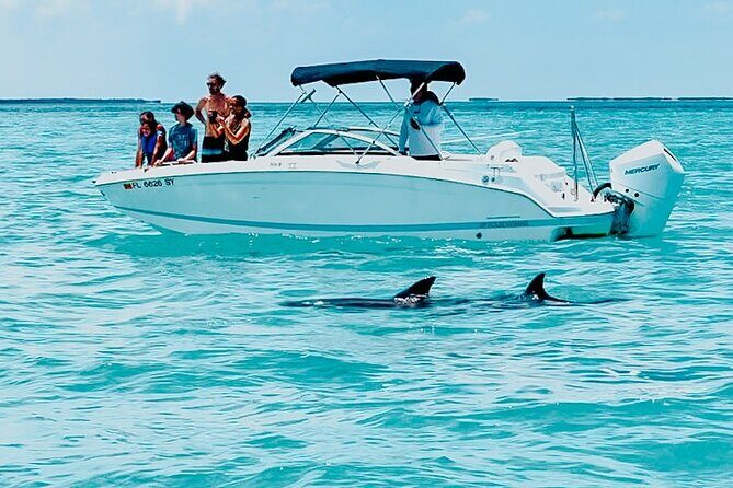 Dolphin & Snorkel - Discover the Best of Key West’s Marine World with Dolphin & Snorkel Tours