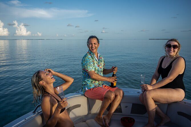 Dolphin & Snorkel - Key Points