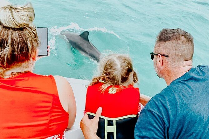 Dolphin & Snorkel - FAQ