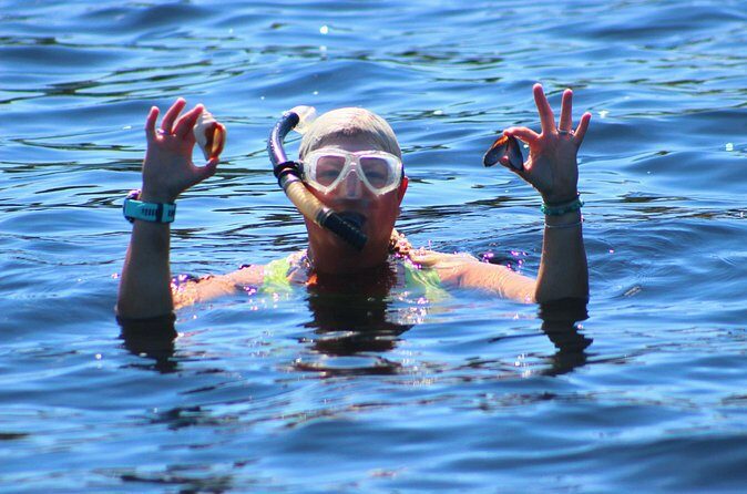 Dolphin Snorkel Tour - Who Will Love This Tour?