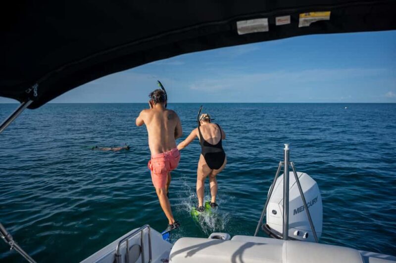 Dolphin & Snorkeling Key West - A Detailed Look at the Dolphin & Snorkeling Key West Experience