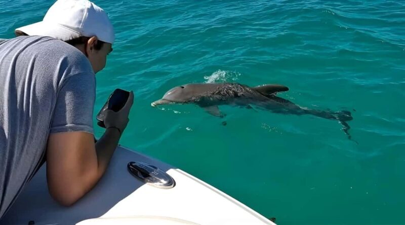Dolphin & Snorkeling Key West - FAQs