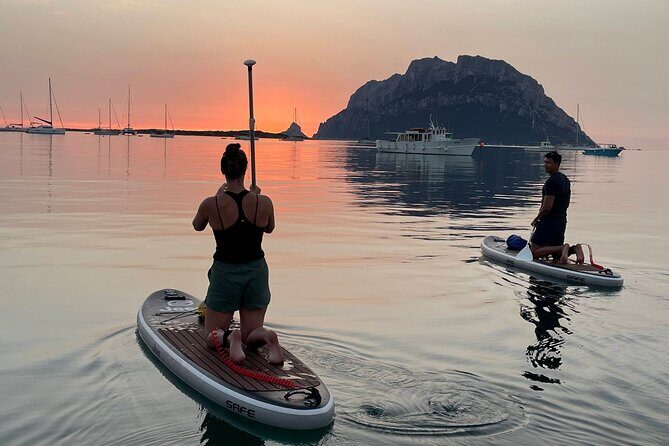 Dolphin-spotting SUP tour with Golfo Aranci aperitif - Dolphin-spotting SUP tour with Golfo Aranci aperitif: A detailed review