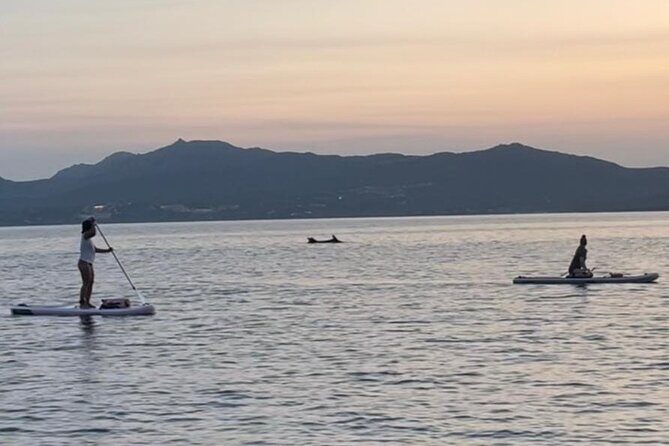 Dolphin-spotting SUP tour with Golfo Aranci aperitif - Exploring Sardinia from the Water: A Deep Dive