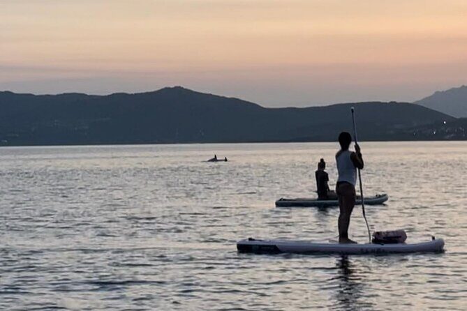 Dolphin-spotting SUP tour with Golfo Aranci aperitif - Final thoughts