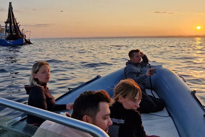 Dolphin Sunrise Adventure with Speedboat - Practicalities and Considerations