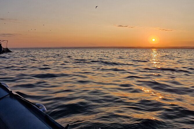 Dolphin Sunrise Adventure with Speedboat - Who Should Consider This Adventure?
