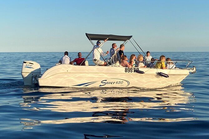 Dolphin Sunrise Adventure with Speedboat - The Sum Up