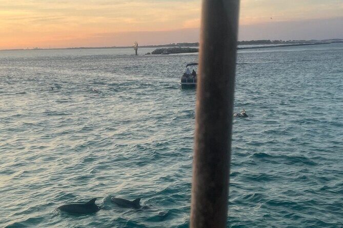 Dolphin & Sunset Cruises - Discover Destin’s Marine Wonders with Dolphin & Sunset Cruises