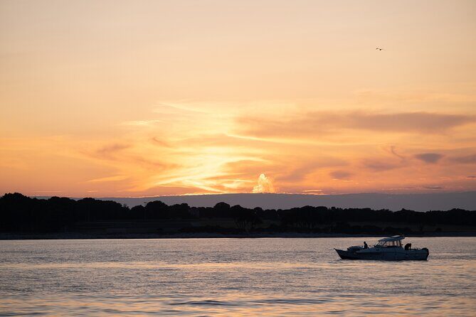 Dolphin & Sunset tour with Brijuni panorama - The Itinerary: What Can You Expect?