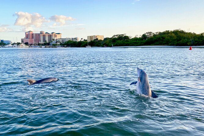 Dolphin Tiki Cruise around Fort Myers Beach - Practical Details that Matter