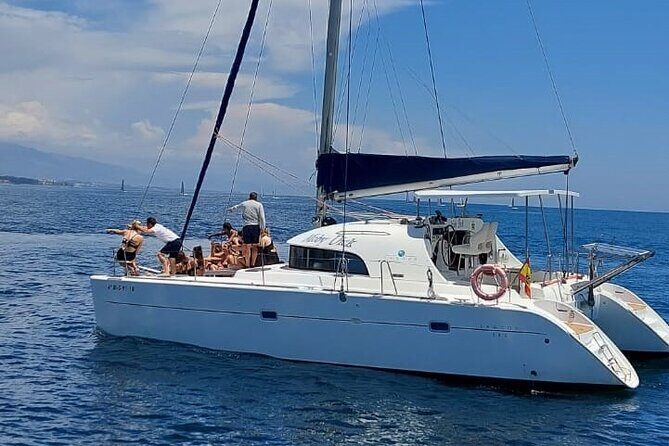 Dolphin trips on a catamaran - Dolphin Trips on a Catamaran in Marbella: A Detailed Review