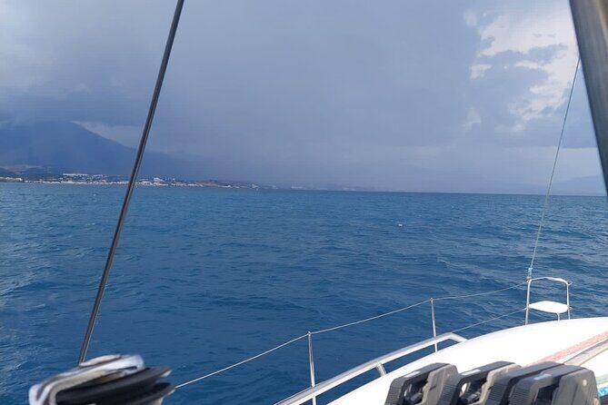 Dolphin trips on a catamaran - FAQ